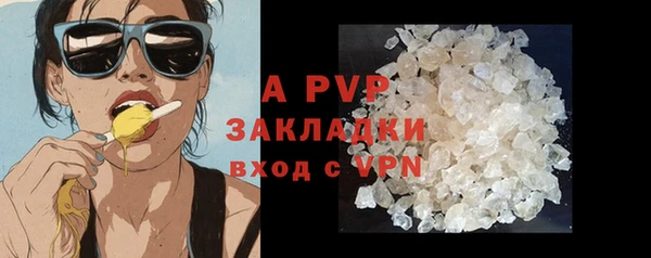 PSILOCYBIN Инта