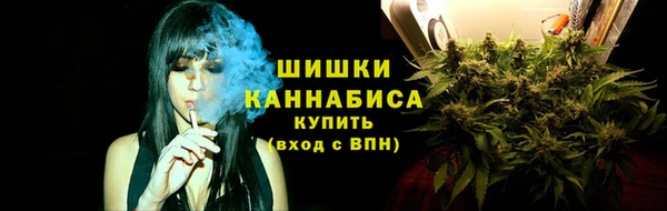 Альфа ПВП Иннополис