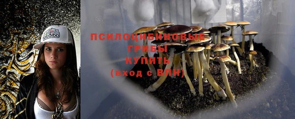 mdpv Инсар