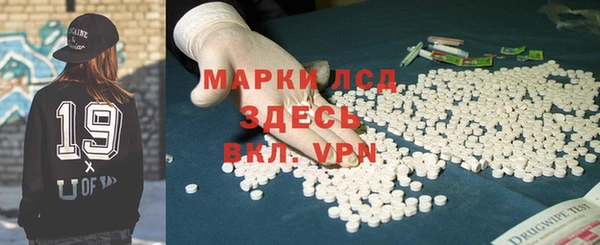 PSILOCYBIN Инта