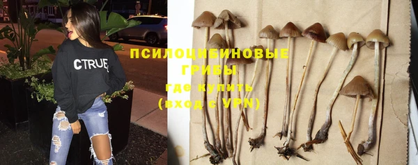Альфа ПВП Иннополис