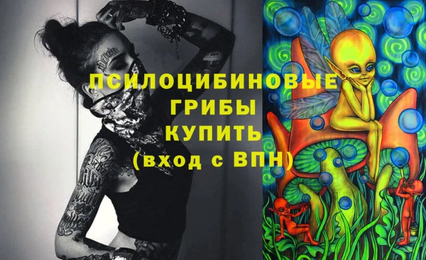 PSILOCYBIN Инта