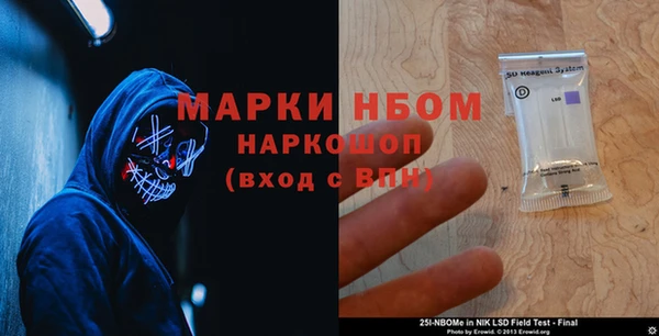 mdpv Инсар