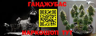 Альфа ПВП Будённовск