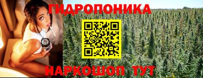 Альфа ПВП Будённовск