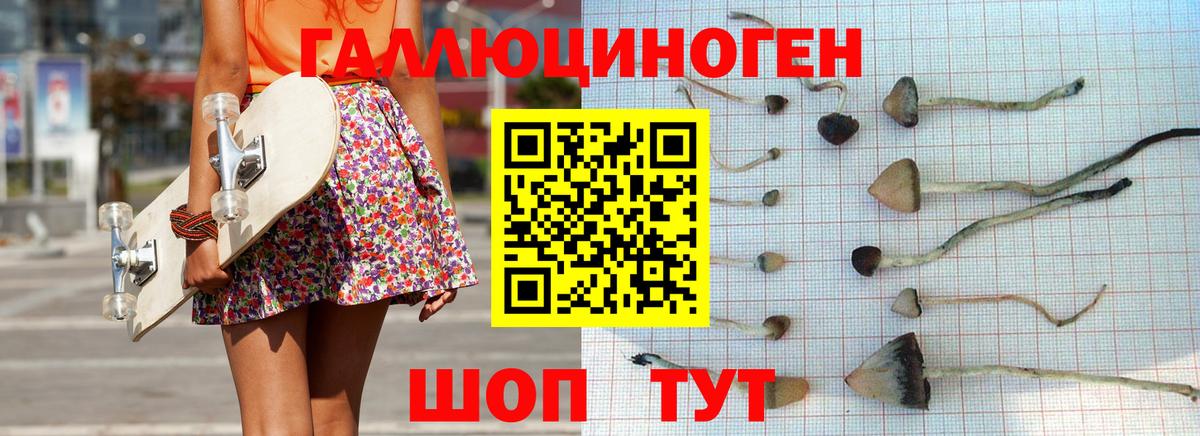 Псилоцибиновые грибы GOLDEN TEACHER  Камень-на-Оби 