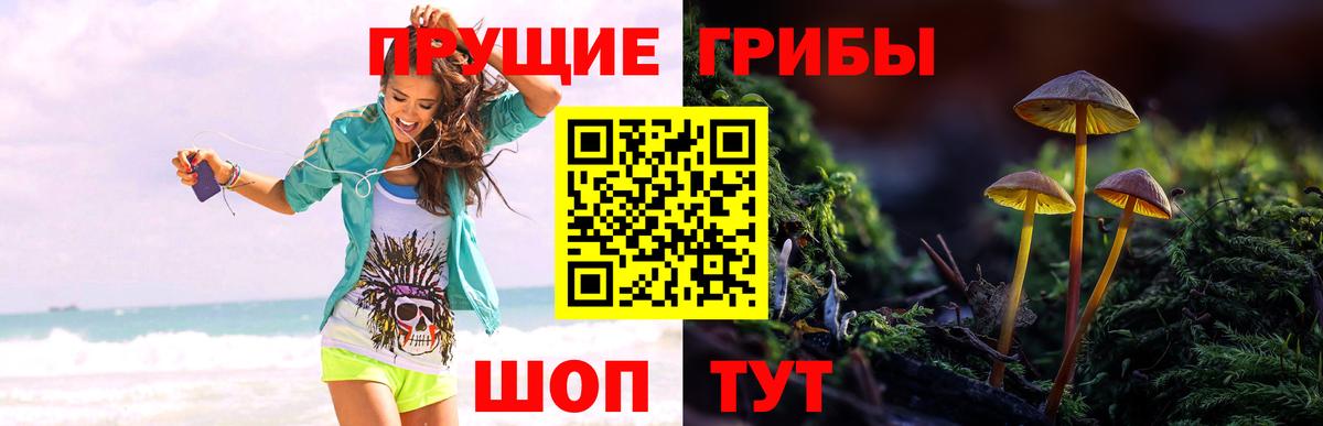 Псилоцибиновые грибы Magic Shrooms Камень-на-Оби